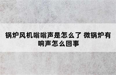 锅炉风机嗡嗡声是怎么了 微锅炉有响声怎么回事